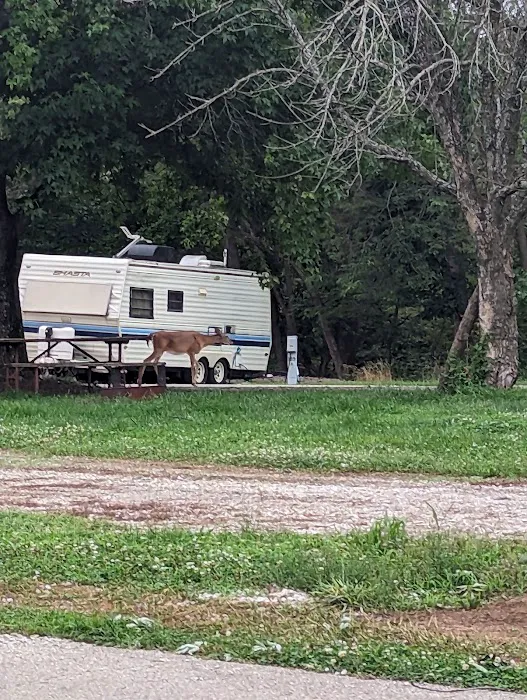 Coneflower Campground Picture 5