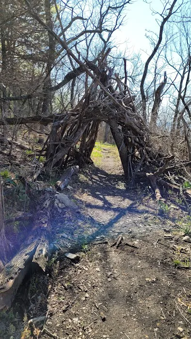 Coneflower Campground Picture 6