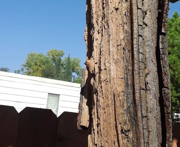 Auburn Vista Mobile Home Park Picture 6