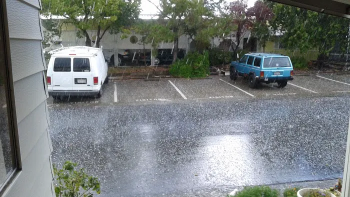 Country Villa Senior Citizen Mobile Home Park Picture 2