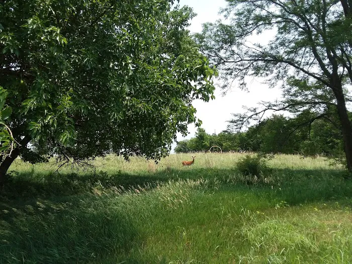 Hickory Campground Picture 9