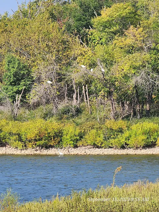 Walnut Campground Picture 3