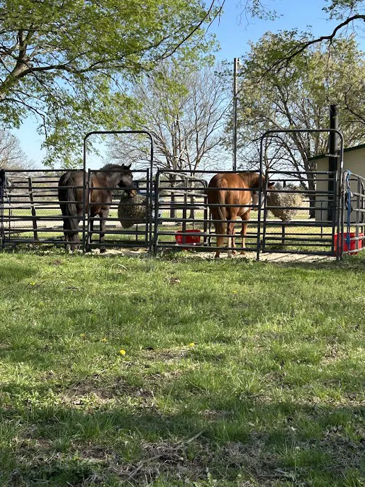 Rockhaven Park Equestrian Campground Picture 4