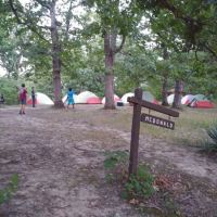 Campsite McDonald ico