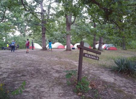Campsite McDonald