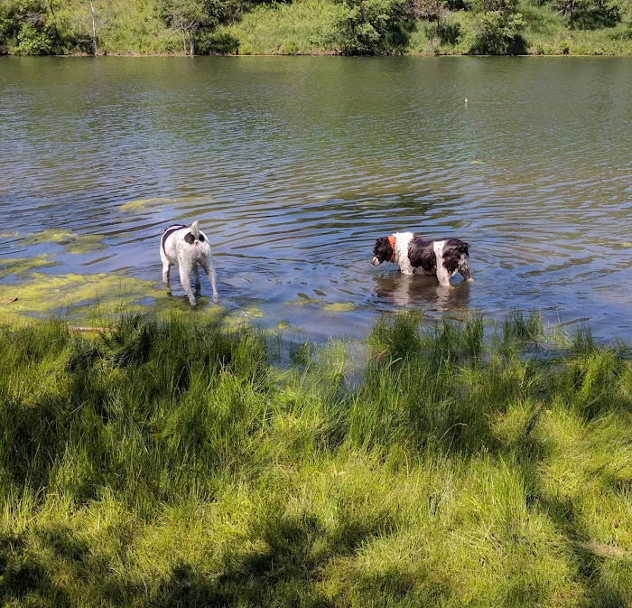 Crystal Lake Campground Picture 4