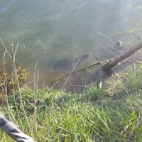 Crystal Lake Campground ico