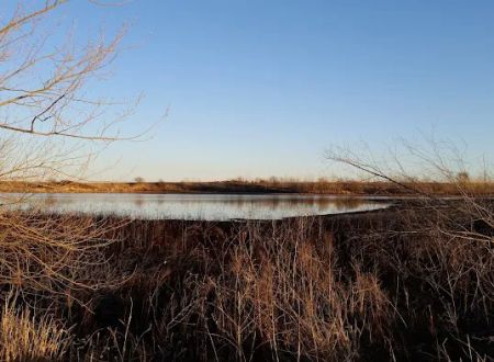 Roseland Lake Recreation Area