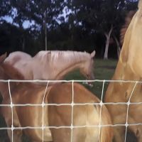 Glory RV Park ico