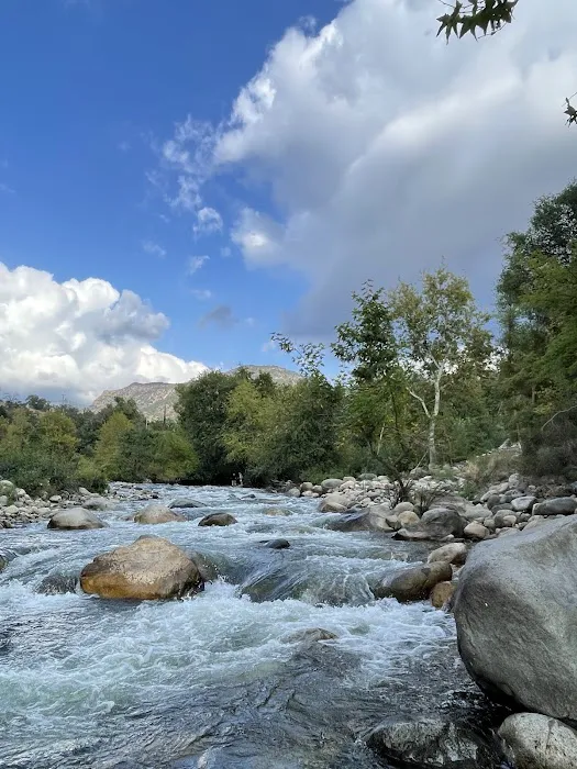 Three Rivers Hideaway Picture 5
