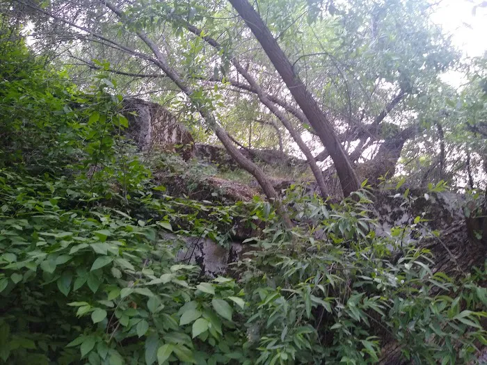 Kaweah Oaks Campground Picture 9