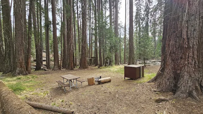 Atwell Mill Campground Picture 8