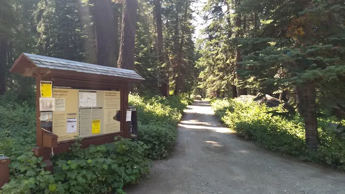 Cold Springs Campground Picture 1