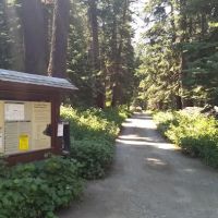 Cold Springs Campground ico