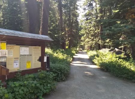Cold Springs Campground