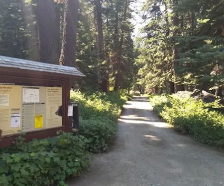 Cold Springs Campground