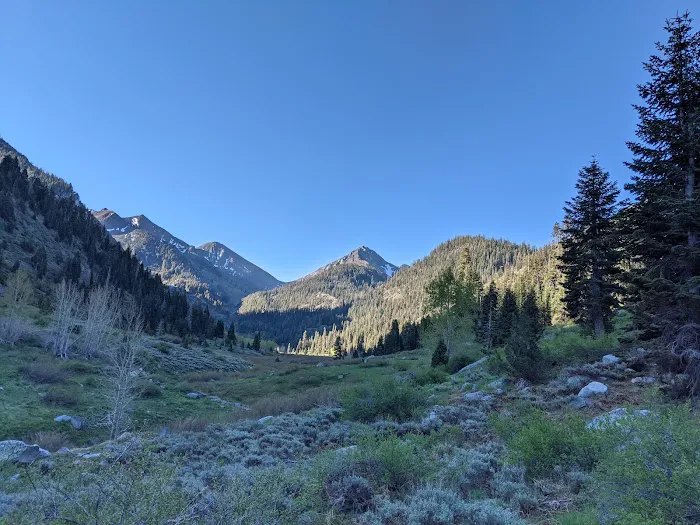 Cold Springs Campground Picture 2