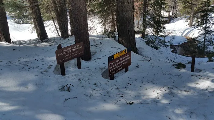 Cold Springs Campground Picture 5