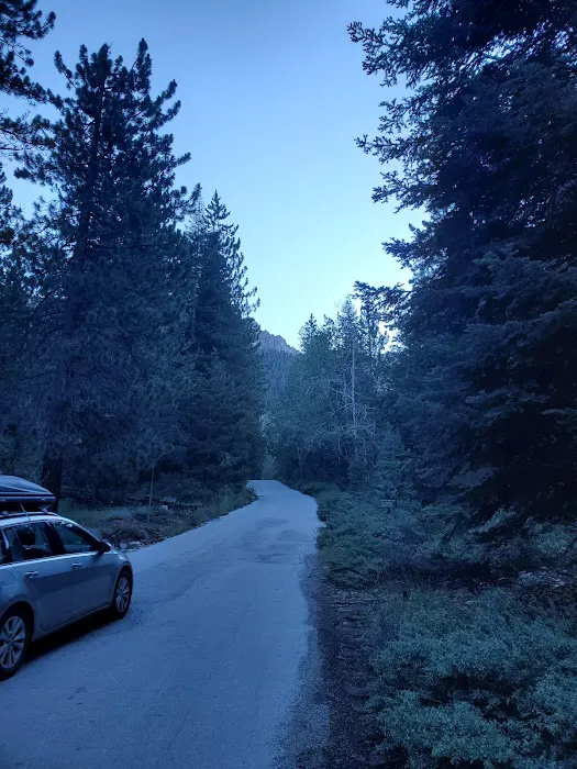 Cold Springs Campground Picture 7