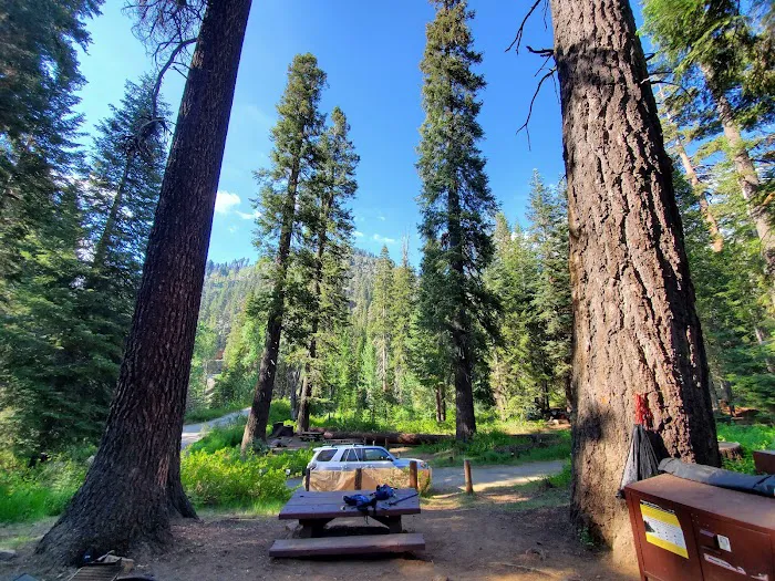 Cold Springs Campground Picture 8