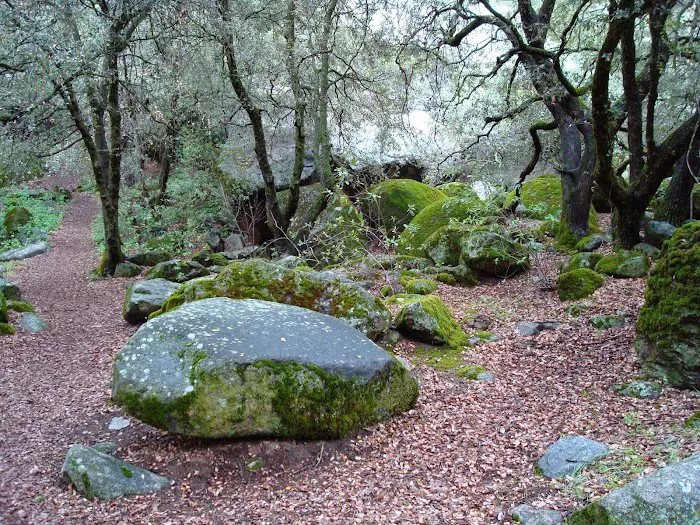 South Fork Campground Picture 4