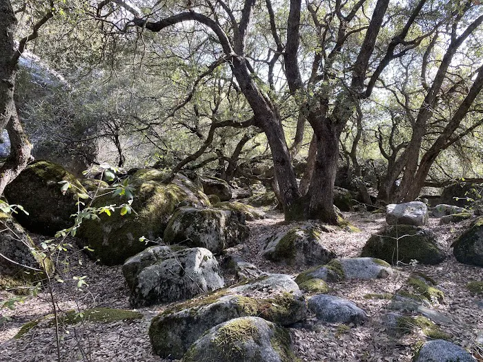 South Fork Campground Picture 6