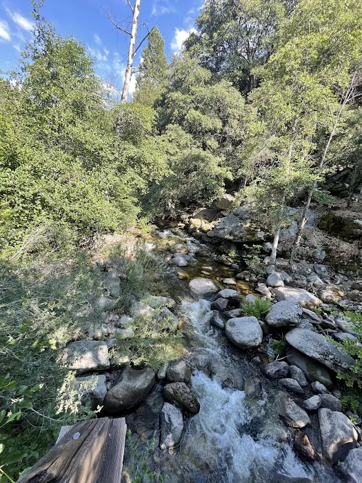 South Fork Campground Picture 2