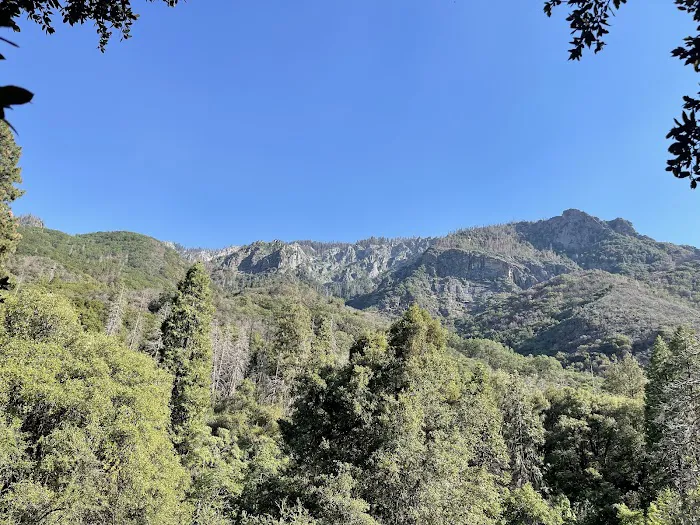 South Fork Campground Picture 1
