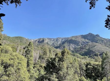 South Fork Campground
