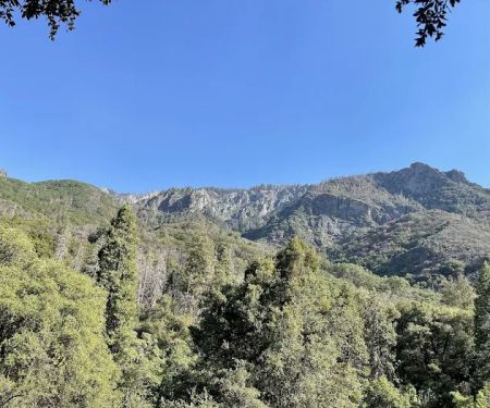 South Fork Campground