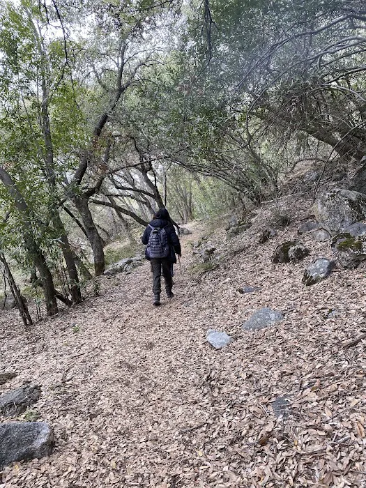 South Fork Campground Picture 5