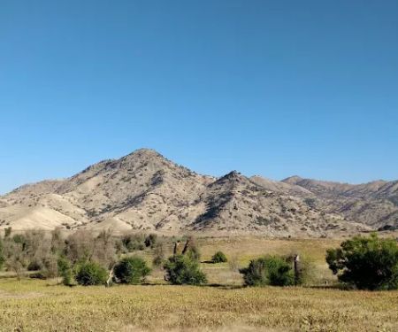 Horse Creek Campground