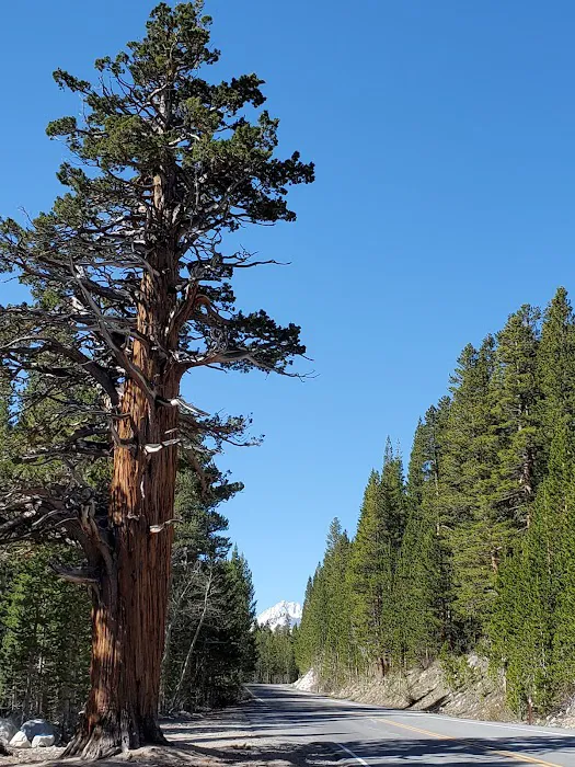 Lower Pine Grove Campground Picture 1