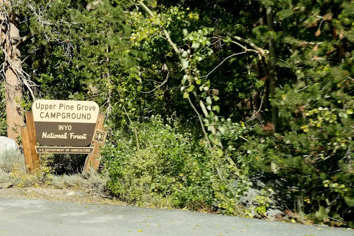 Lower Pine Grove Campground Picture 8