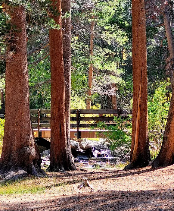 East Fork Picture 10
