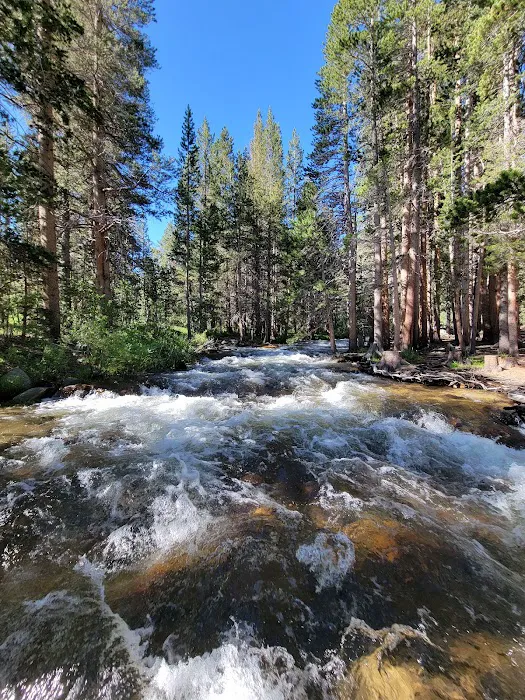East Fork Picture 9