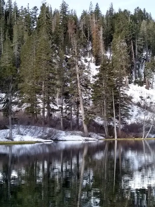 Palisade Group Campground Picture 9