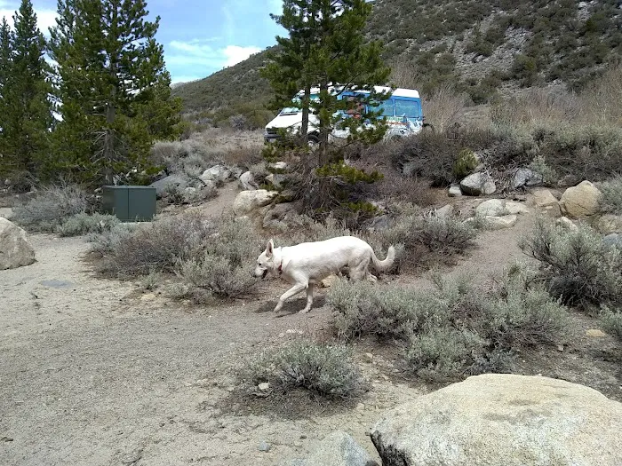 Palisade Group Campground Picture 7