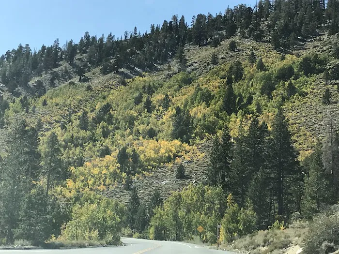 Palisade Group Campground Picture 6