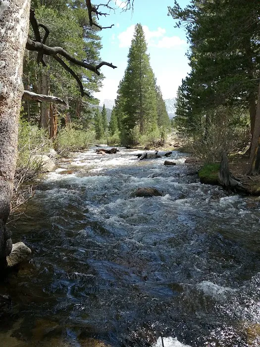 Palisade Group Campground Picture 1