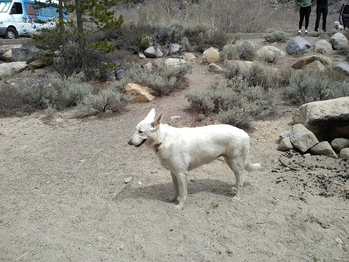 Palisade Group Campground Picture 5
