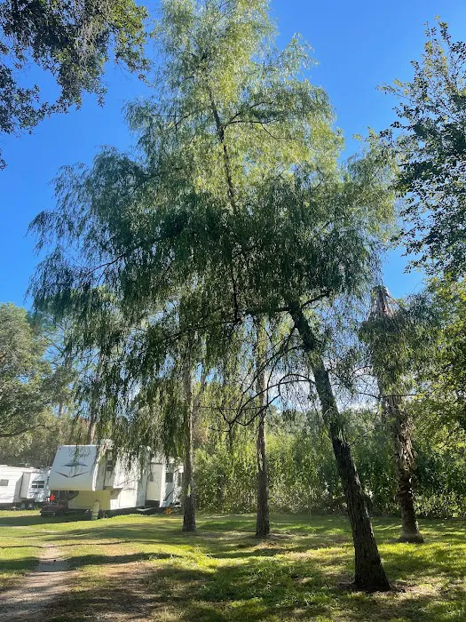 Rossi Properties LLC Picture 3