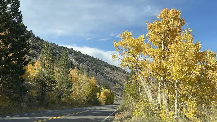 Big Meadow Campground Picture 4