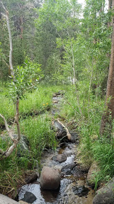 Big Meadow Campground Picture 5