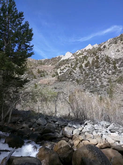 Iris Meadow Campground Picture 1