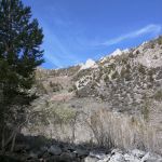 Iris Meadow Campground