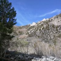 Iris Meadow Campground ico