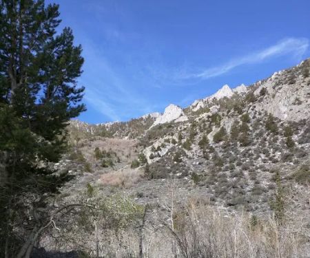 Iris Meadow Campground