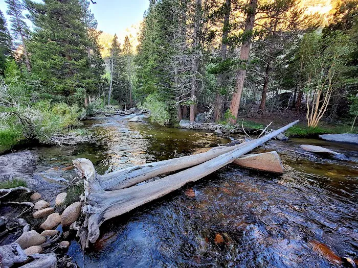 Iris Meadow Campground Picture 8
