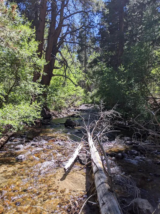 Iris Meadow Campground Picture 4